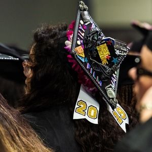 Meet your Posher, Lily